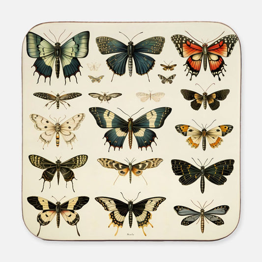 Square coaster featuring blue, black and red butterflies in a scientific layout.