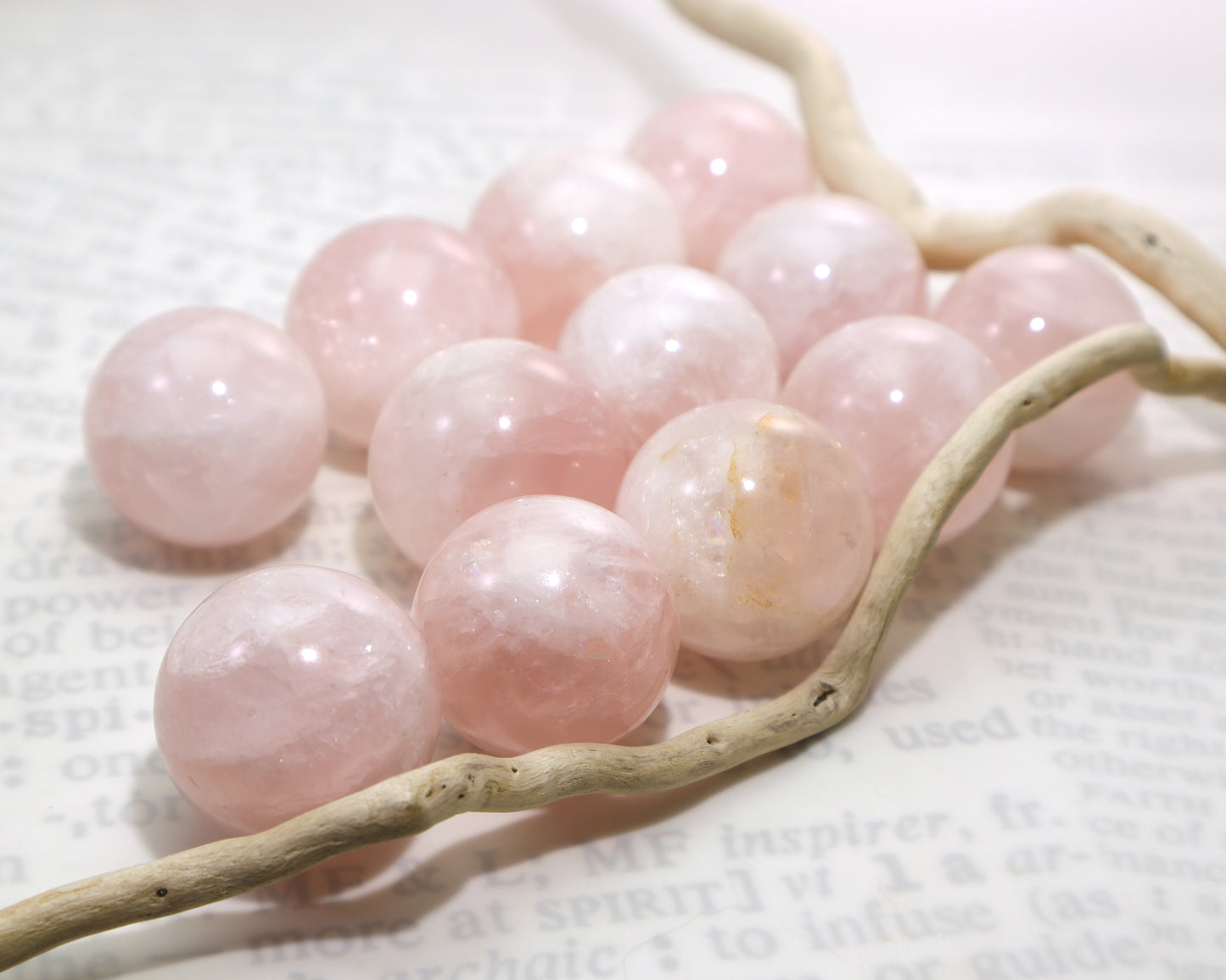 Genuine rose quartz crystal balls with a polished finish nest to a branch on a white background